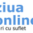 Ziua Online