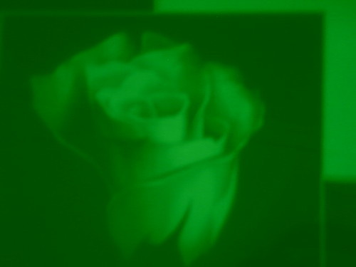 cox72's profile picture. Opportunity and succes in unique marketing for people who like's to make lot's of money.