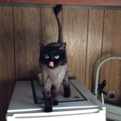 louisematteo's profile picture. love all living things especially animals they are the love of my life I’m here for a reason and I believe what goes around comes back around