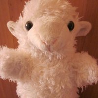 Devon sheep 🐞🐿 (@musequitique) 's Twitter Profile