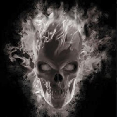 ShawnDK19's profile picture. I aim to please...I'm just not a very good shot!