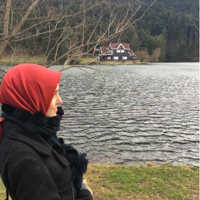 Yıldız Teknik Üniversitesi/ Bilgisayar ve Öğretim Teknolojileri Eğitimi