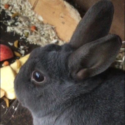 jamesholling35's profile picture. 