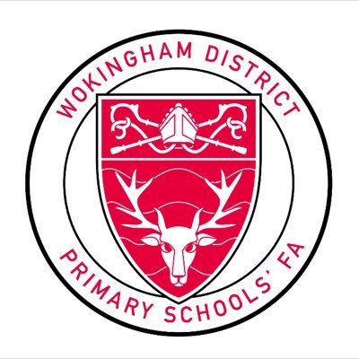 Wokingham District Primary Schools' U11 Boys and Girls Rep Football Teams