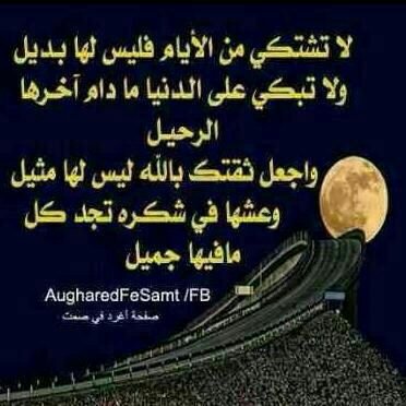 UTwrEMsrPWloG4W's profile picture. 