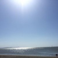 adriceper (@adricepe) 's Twitter Profile