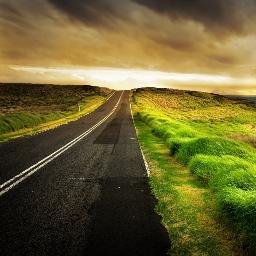 tigi003's profile picture. 