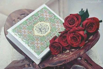 حافظة لكتاب ربي كاملا اللهم اجعله ربيع قلبي ((معلمة تحفيظ قرآن)) ((عضوة دعوة وارشاد))♡♡أللهم إني أسألك رضاك والجنه♡♡ (الجنوب محايل عسير)