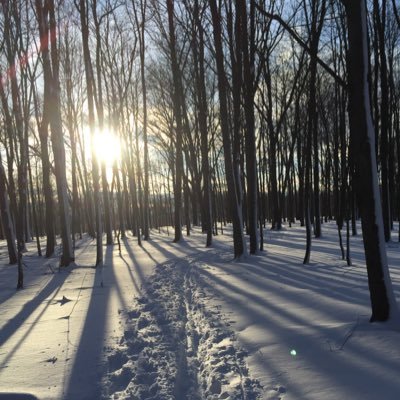 Tweeting conservation success stories...because we talk too much about the problems. Tweet your stories to me @ConservationWin, include #ConservationWins