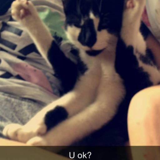 hososdjjs's profile picture. 