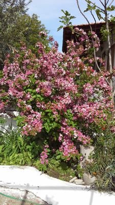 dimitra2310's profile picture. μαμά , Χ 2  κορίτσι , αγόρι , συζυγος εργαζόμενη