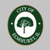 City of Elmhurst (@CityofElmhurst) Twitter profile photo