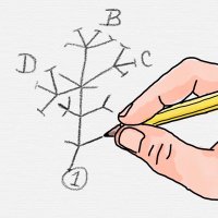 Sketching Science(@sketchscience) 's Twitter Profileg