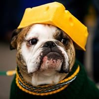 MyMightyPackers Profile Picture