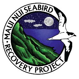 Working to locate, protect, and enhance seabird populations and habitats in Maui Nui