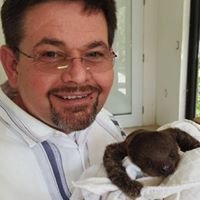 WallyLupa's profile picture. 