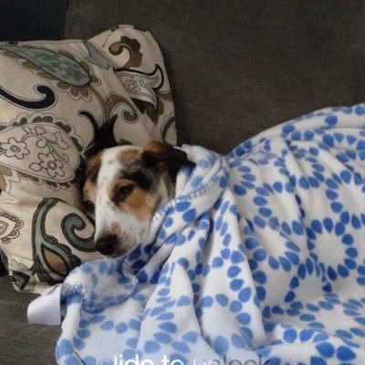 brysonlewi12345's profile picture. please follow