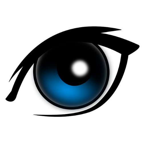 Public_Eye_XVA Profile Picture