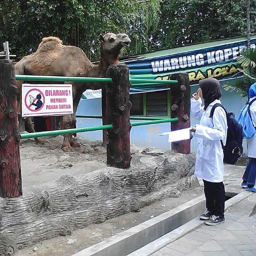 IntanNeno's profile picture. 