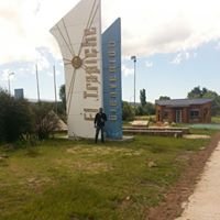 alesuarzre's profile picture. Dolbin