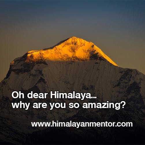 Kathmandu based Adventure Travel company operates tours & treks related services in Nepal, Tibet & Bhutan
