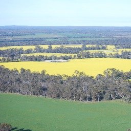 Sheep, cattle and cropping farmer Mount Barker WA
Chair Mount Barker Co-operative