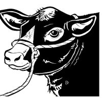 Todmorden Show (@todshow) 's Twitter Profile
