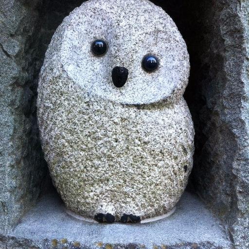 dfkvs's profile picture. https://t.co/XnbZllvdtK