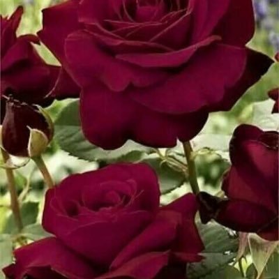 m2222mb's profile picture. 