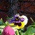 Dawn Warner (@dawnie196403) Twitter profile photo Dawn Warner (@dawnie196403) Twitter profile photo