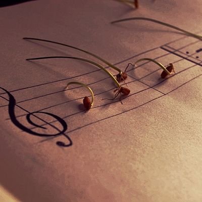 0Navid's profile picture. 