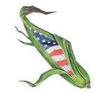 FayFarmMarket's profile picture. Fayetteville's locally grown farmers market.