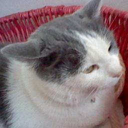 stefania7312's profile picture. 