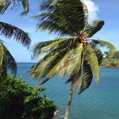 CaribbeanTarot's profile picture. intuitive tarot reader and spiritual being. I strive to help others along their path to guidance. INFJ/Aries Sun/Pisces Moon. check out my shop or just chat!