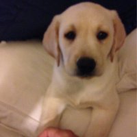 Michael (@ndmike72) 's Twitter Profile
