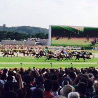 競馬動画集 (@_keiba_movie) 's Twitter Profile