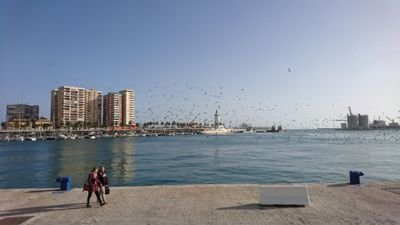 Informático nacido en Granada,criado en Málaga y trabajando en Madrid.Con el corazón en tierras malacitanas y sobreviviendo ahora a estas alturas del Manzanares