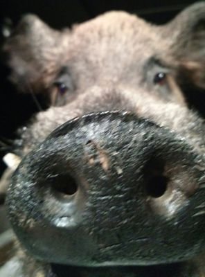 cdhaens1979's profile picture. 