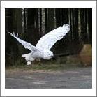 unionmitsui's profile picture. 