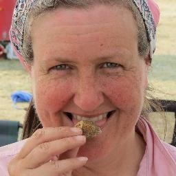 geschwhat's profile picture. Private researcher, ichnofossil lover, and author of Coprolite: A Really Crappy Story #coprolite #crappystory