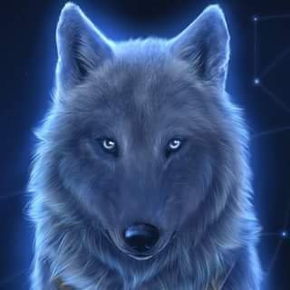 leader of Ohio Wolfpack Gaming Community. follow me on Xbox@  Ohio Lone Wolf and come join in the stream on Mixer.