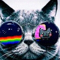 dcg1114 (@dcg1114) 's Twitter Profile