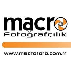 Macro Foto