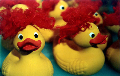 nrcaeurope's profile picture. Principal Analyst, Consumer Services