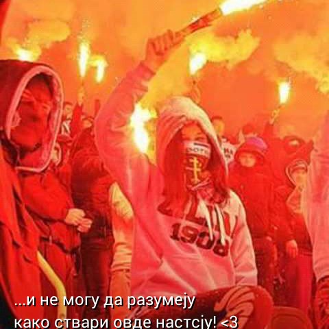 popsaky's profile picture. FK-KK-OK CRVENA ZVEZDA
ZVEZDA JE IME ŠAMPIONA!!!
MA BRE NAJJAČI SMOOOOO!!!!!