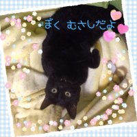 ♡mayumin♡ (@ayaneko5963) 's Twitter Profile