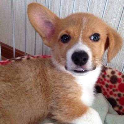 doekamome's profile picture. 第ニの青春〜だね⁈