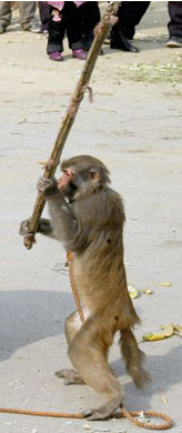 boypaul's profile picture. 