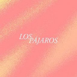 lospajarosbanda's profile picture. Juntemos un viaje, situaciones inesperadas, una psiquis dañada, tortura propia, ambigüedades, fortuna e infortunio y obtenemos un proyecto llamado “Los Pájaros”