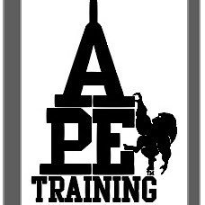 Ape Training brings high quality, portable training/crossfit equipment like suspension trainers, yoga wheels, trigger therapy and 100% dedicated customer care.